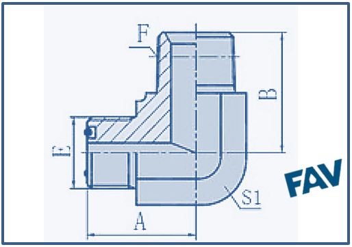 ORFS Fittings