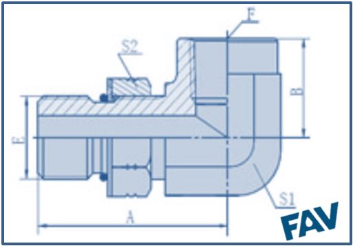 ORFS Fittings