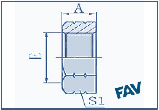 ORFS Fittings
