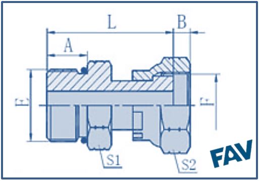 ORFS Fittings